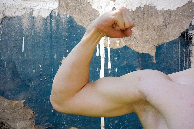 biceps muže.jpg